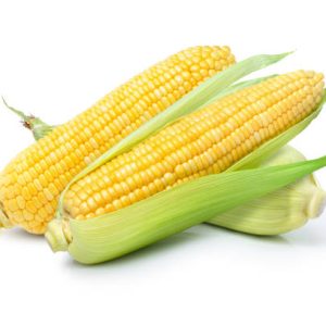 American corn