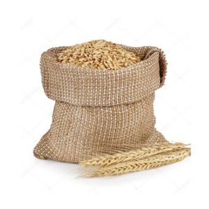 Wheat Grain