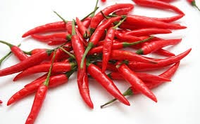 Fresh Red Chili