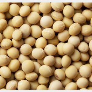 Soybeans